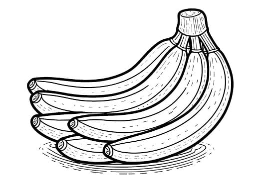 केळीची वाढ आणि उपयोग तथ्ये
