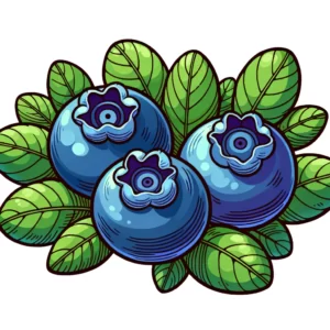 Blueberry Coloring