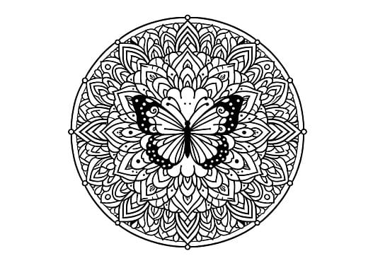 coloring book butterfly