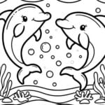 dolphin coloring pages