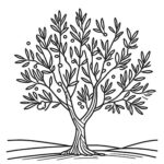 olive tree coloring page